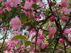 -昆山城市生态森林公园