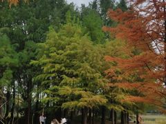 -苏州太湖国家湿地公园
