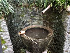 -十八棵（老龙井）御茶园(老龙井店)