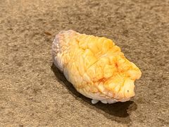 活北极贝-嶺寿司