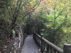 -郧西五龙河风景区