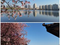 -莫愁湖公园