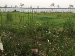 石家庄动物园-石家庄市动物园