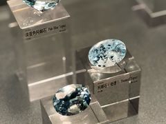 -中国地质博物馆