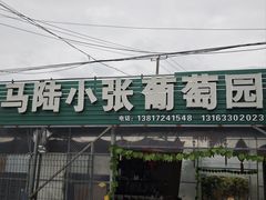 -马陆小张葡萄园农家乐