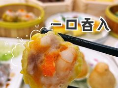 -新梅园不夜粥(龙华店)