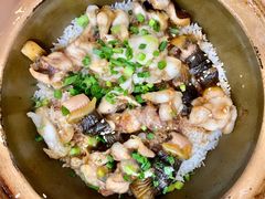 -红星光发煲仔饭(文海店)