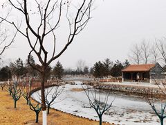 -张家湾公园