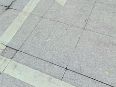 -索拉古贝(义乌北苑店)
