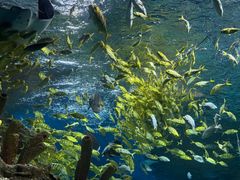 -海合安武汉极地海洋公园