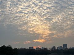 -黄兴公园