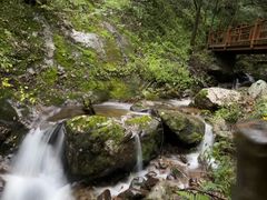 -青峰峡国家森林公园