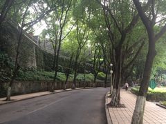 -西南政法大学(沙坪坝校区)