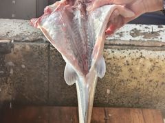 -稻香村鱼庄
