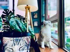 -咖法森林·咖啡  酒吧(天河店)