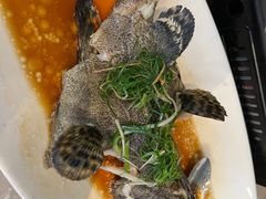 清蒸石斑鱼-达叔香味海鲜(海棠68环球美食街店)