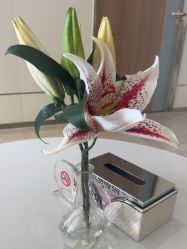 -韩辰医疗美容医院