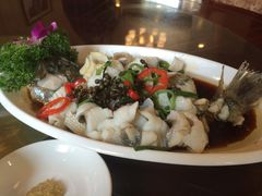 -金牌餐厅·天津菜·八珍豆腐·老爆三(瓷房子店)