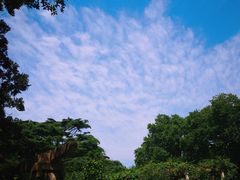 -青岛德国总督楼旧址博物馆