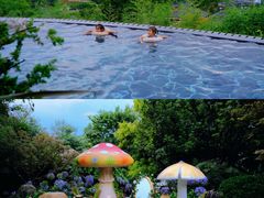 -七彩云南古滇温泉山庄