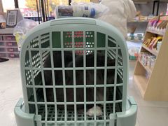 -宠颐生动物医院·小陆分院