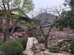 -华清宫景区