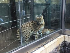 -荆州中山公园动物园