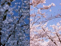 -龙美术馆(西岸馆)
