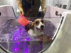 -1013 PET SHOP 宠物商店(近铁城市广场店)