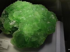 -湖南省地质博物馆