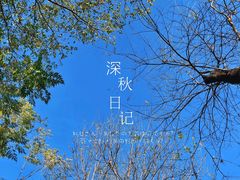-洨河生态公园