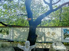 -八奇洞景区