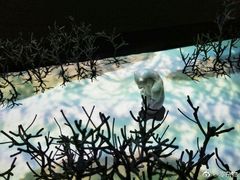 -炎黄艺术馆