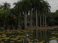 -中国科学院西双版纳热带植物园