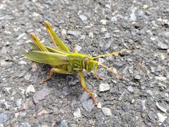 -东钱湖旅游度假区