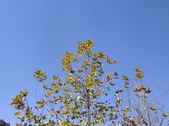 -鸡遇虾煲干锅火锅(小寨金莎店)