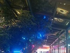 -海岛八号龙虾烧烤田鸡(蓝天路总店)