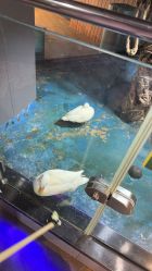 -未来动物城主题公园(正弘城店)