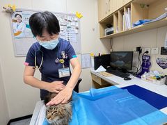 -美联众合爱康动物医院•复杂内科•肿瘤科•牙科•腔镜诊疗中心