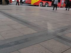 -BUS TOUR观光巴士