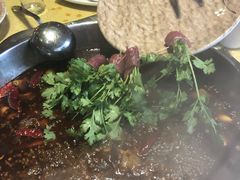 -田鸭肠·非遗火锅(彭州店)