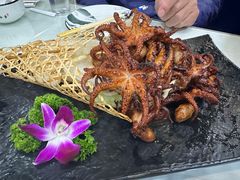 酱焖八爪鱼-黑石礁酒楼·海鲜(黑石礁店)