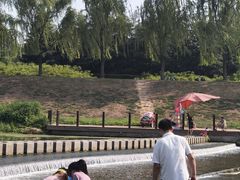 -洨河生态公园