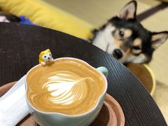 -逗柴咖啡屋·狗咖猫咖宠物桌游