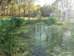 -昆山城市生态森林公园