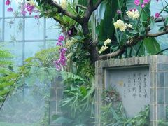 -东莞植物园