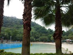 -重庆海昌加勒比海水世界