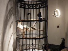 -清真·京华源铜锅涮肉(丰庆店)