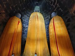 -白水寺森林公园