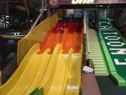 -卡通尼·Safari非洲探索乐园·生日会(金桥国际商业广场店)